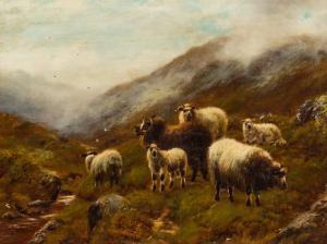 Sheep in the Highlands – Painting by W H C Groome