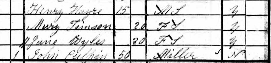The actual 1841 census record showing Mary Ann. Her occupation F S means Female Servant. The spelling of her surname is “Timson”.