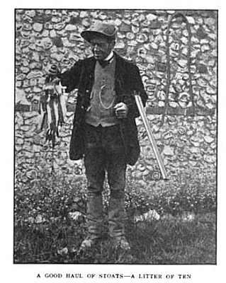 The photo above is typical of how a Gamekeeper of the day dressed circa 1870.